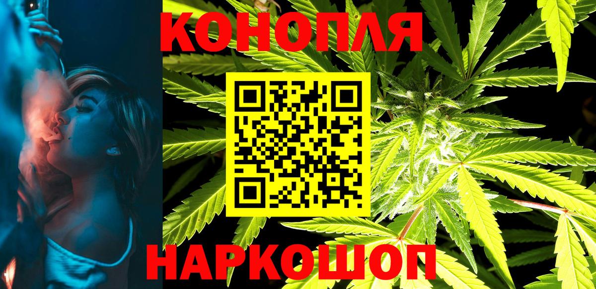 Шишки марихуана планчик Тимашёвск